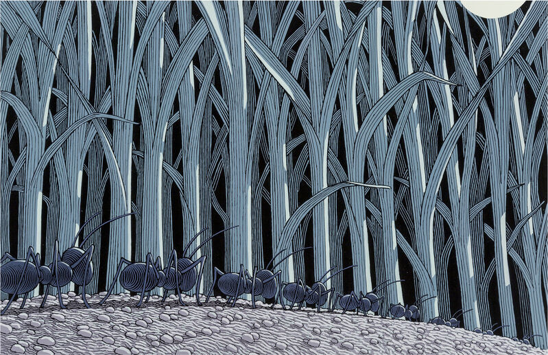 Chris Van Allsburg - Ants Marched into Woods that Surrounded their Underground Home - Children's Book